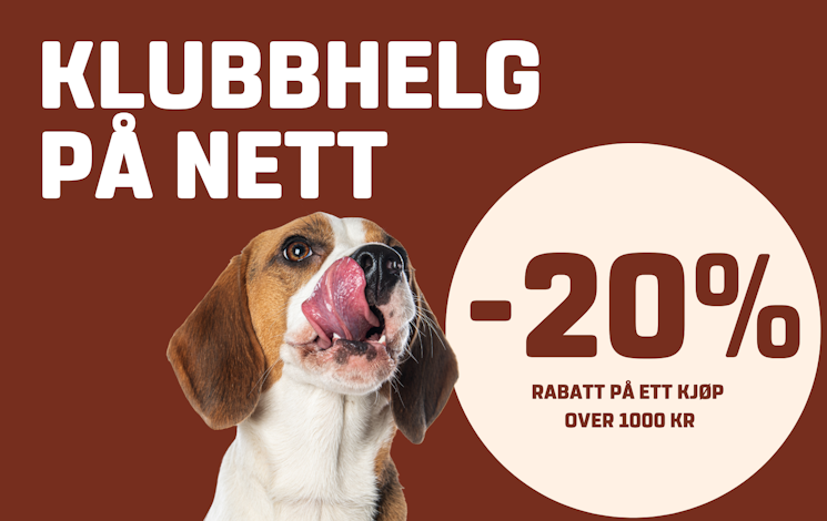 colums-2-petxl-web-5