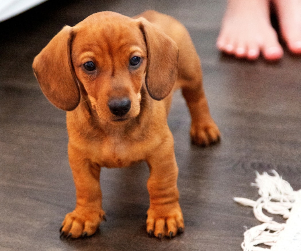 valpesikre-hjemmet-en-trygg-soveplass